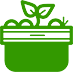 專(zhuān)業(yè)裝苗